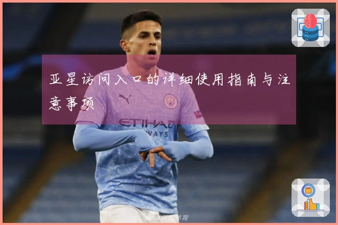 亚星访问入口的详细使用指南与注意事项